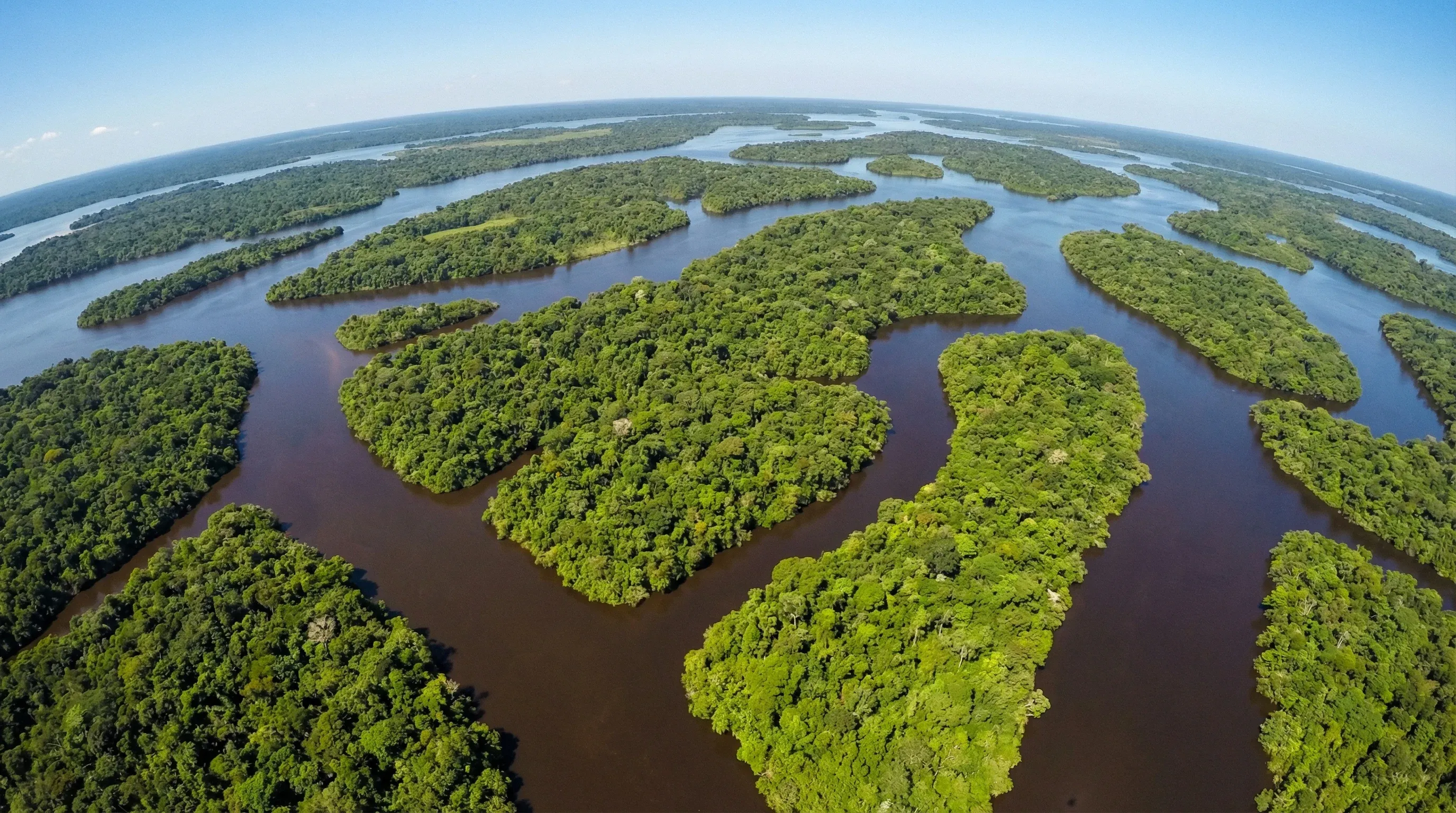 Aerial view of many green forested islands separated by dark river channels in the Amazon rainforest.
