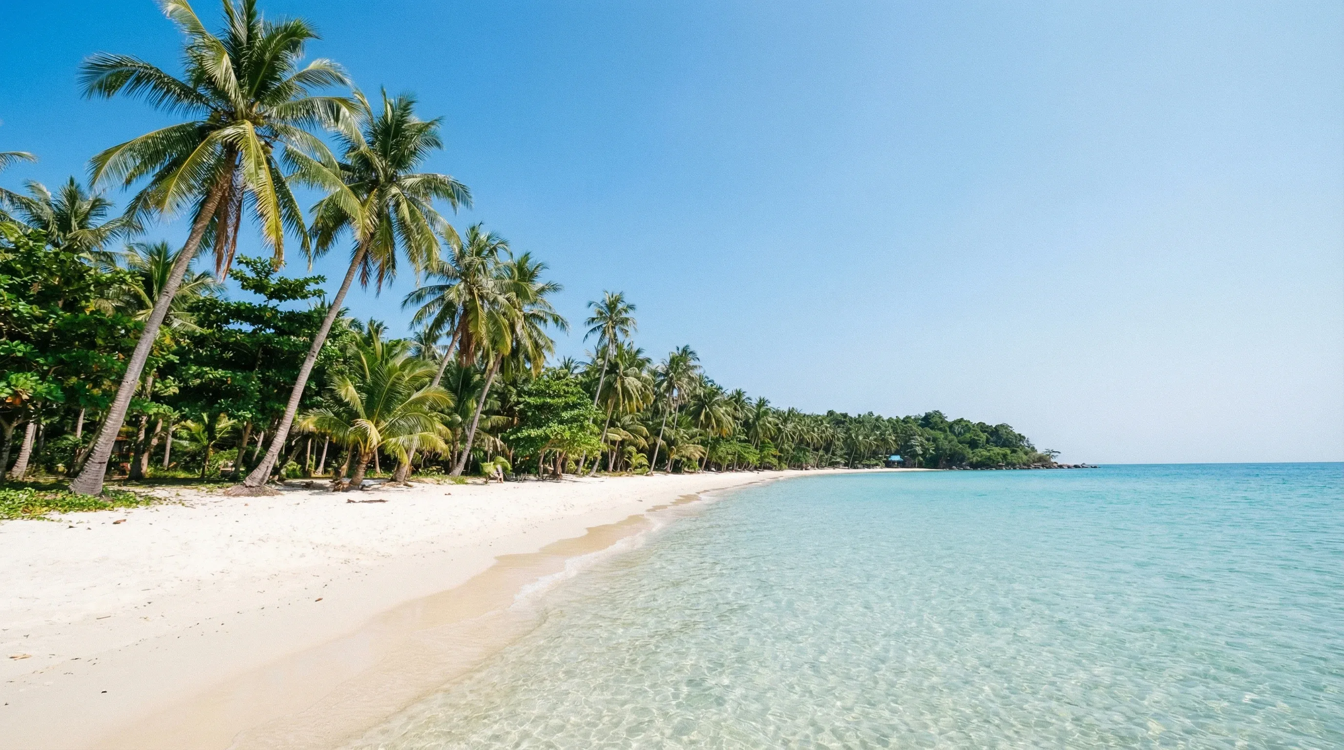 A tropical beach with white sand, turquoise water, and leaning coconut palms under a bright blue sky on Phu Quoc Island.